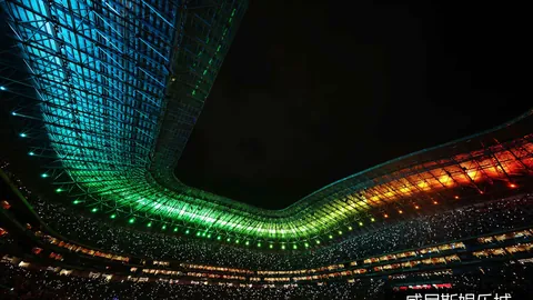 2026欧冠赛事分析，威尼斯娱乐城App，_国米0-1不敌勒沃库森，穆杰莱制胜